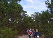 Powiększ zdjęcie ścieżką, wśród krzewów dzieci kierują się w stronę plaży