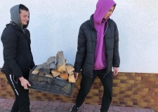 Powiększ zdjęcie Wolontariusze noszący drzewo.