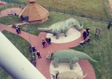 Powiększ zdjęcie Zdjęcie dinozaurów z wieży widokowej.